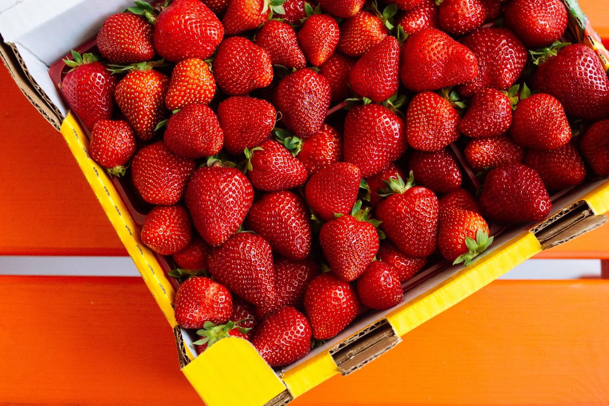 Licuado de frutillas